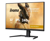 IIYAMA G-Master GB3290QSU-B1 Gold Phoenix - 1361892 - zdjęcie 9